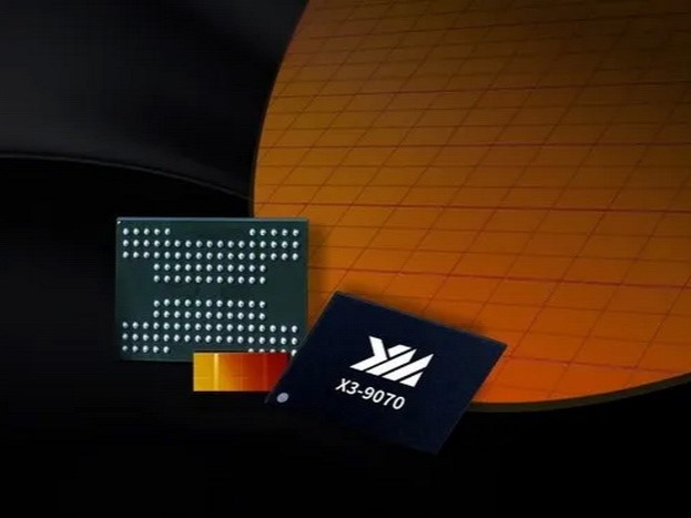German Sales Ban Takes Effect: YMTC Wins First Substantive Victory in Patent Against Micron
